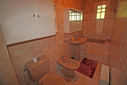 ein Bad mit einem WC und einem Waschbecken in der Unterkunft Le val des deux rieux in Saint-Just-le-Martel