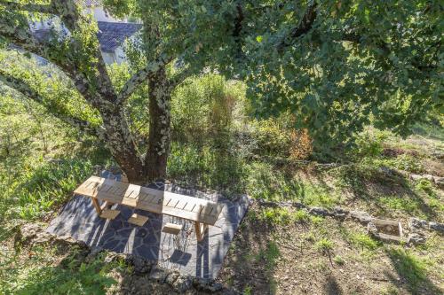 La Maison des Chataigniers – Photos 2