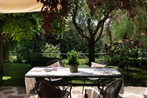una mesa y sillas en un jardín con un árbol en Buccia Nera, en Chiassa Superiore