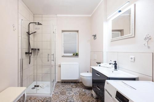 W łazience znajduje się prysznic, umywalka i toaleta. w obiekcie Domizile am Markt w mieście Quedlinburg