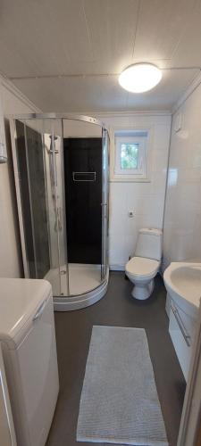 een badkamer met een douche, een toilet en een wastafel bij Lönås in Håptjärnliden