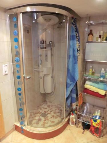 a bathroom with a shower with a toilet in it at Urlaub am Inn in Wasserburg am Inn
