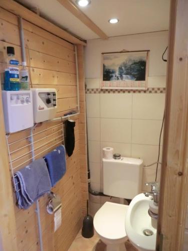 a small bathroom with a toilet and a sink at Urlaub am Inn in Wasserburg am Inn