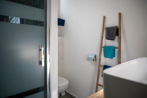 a bathroom with a toilet and a glass shower door at LA CHOUETTE DU LAC MARION in Biarritz