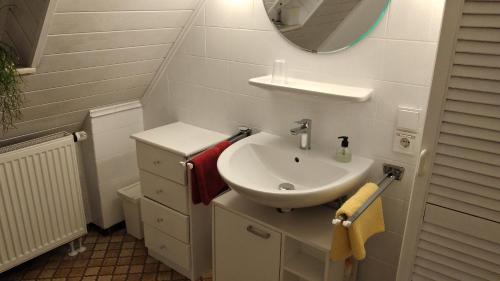 a bathroom with a sink and a mirror at Ferienwohnung Schindler mit Balkon in Merkendorf