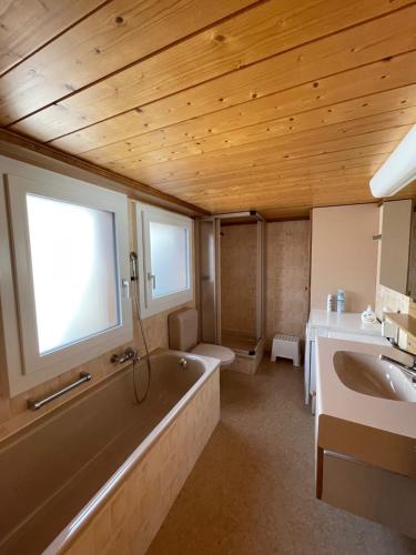 グレヘンにあるMoritzhausのバスルーム(バスタブ、洗面台、トイレ付)