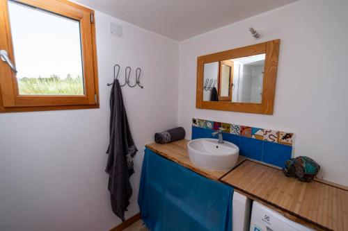 a bathroom with a sink and a mirror at gite bioclimatique écologique in Sigonce