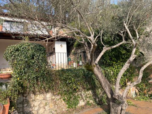 Φωτογραφία από το άλμπουμ του LILIUM HOUSE ARCE σε Rocca dʼArce
