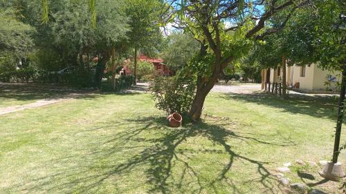 a shadow of a tree in a yard at Cabañas SHAMBALLA in Cafayate