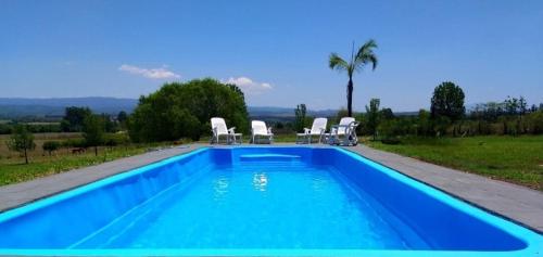 a blue swimming pool with chairs and a palm tree at CASA QUINTA LA ENCANTADA in San Miguel de Tucumán