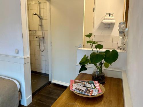 a bathroom with a shower and a table with a plant at Long John's Pub & Hotel in Amersfoort