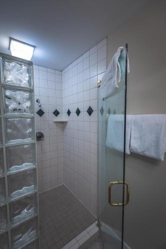 a bathroom with a shower with a glass door at Caribou Highlands Lodge in Lutsen