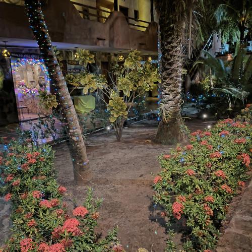 Gallery image of Posada Las Ross in La Mira