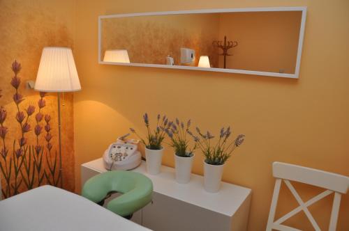 a room with a mirror and some plants on a shelf at Hotel Alpejski in Polanica-Zdrój