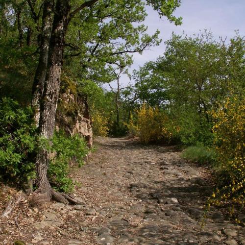 a dirt road with trees on the side at La chaudiere in Saint-Auvent