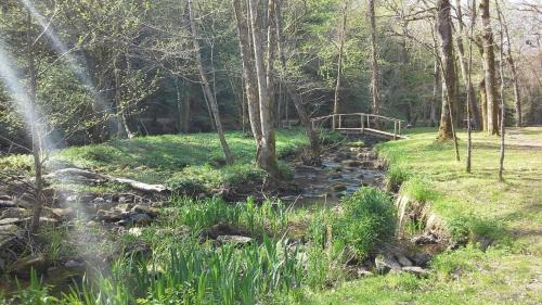 a bridge over a stream in a forest at La chaudiere in Saint-Auvent
