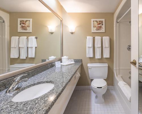 La salle de bains est pourvue d'un lavabo, de toilettes et d'une douche. dans l'établissement Hôtel WelcomInns, à Boucherville