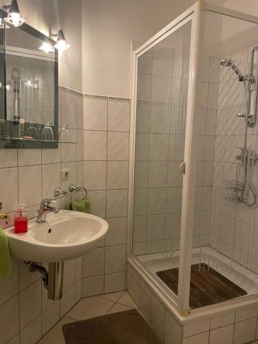 a bathroom with a sink and a shower at Schloss Spiegelberg in Neustadt