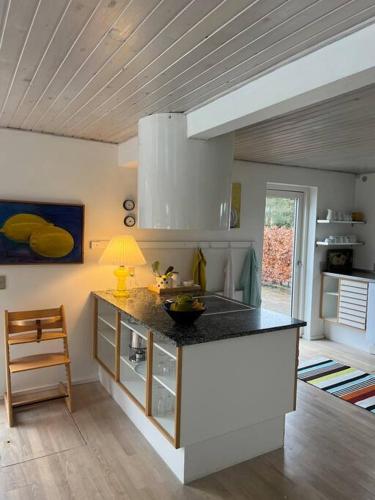 a kitchen with a counter top in a room at Skønt hus på landet tæt på Billund in Give