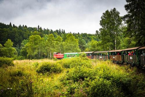 a train is traveling down the tracks in a field at Krystyna in Bystre
