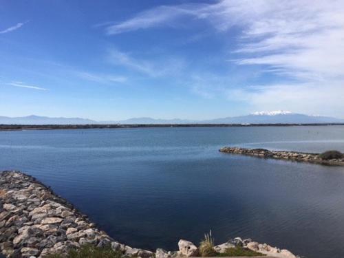 Photo de la galerie de l'établissement Appartement 2 pièces + cabine, piscine, 4 pers, parking - FR-1-81-420, au Barcarès