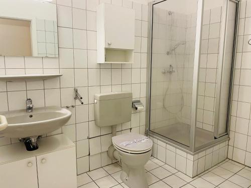 een badkamer met een toilet, een douche en een wastafel bij Apartment an der Wurmbergseilbahn 4 in Braunlage