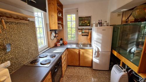 a kitchen with a white refrigerator and a sink at Behagliches Haus mit Kamin und Wärmepumpe 