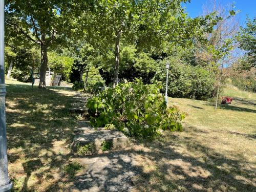 Zahrada ubytování Il Cantuccio - Borgo con piscina privata