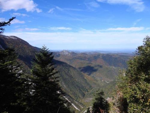 a view from the top of a mountain with trees at Gîte l'Enclos Ô rendez-vous Roquefeuil-Pays de sault- avec jardin in Roquefeuil