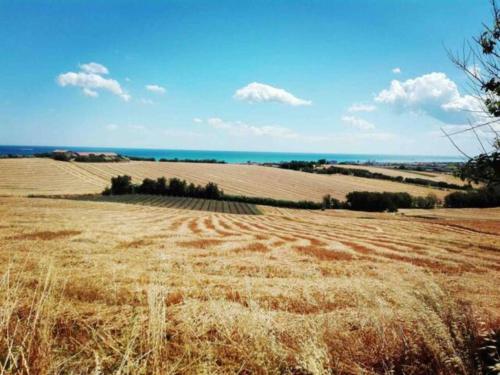 a field of hay with the ocean in the background at Via Verdi 14 in Mondolfo