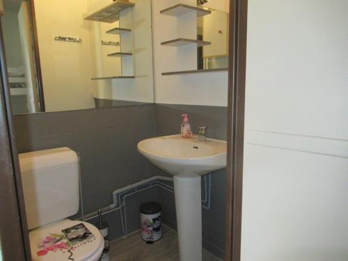 uma casa de banho com um lavatório, um WC e um espelho. em Studio Le Grau-du-Roi, 1 pièce, 4 personnes - FR-1-307-123 em Le Grau-du-Roi