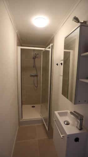 a bathroom with a shower and a toilet and a sink at Studio 200 meters from Central station in Antwerp