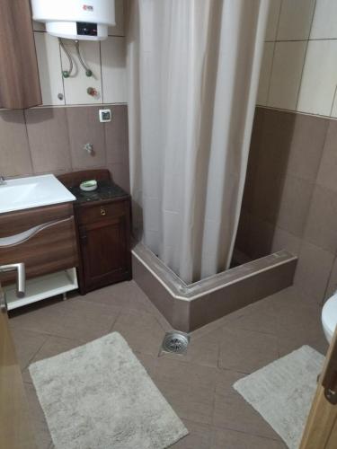 ein Badezimmer mit einer Dusche und einem Waschbecken mit 2 Teppichen in der Unterkunft Fenix 1 in Belgrad