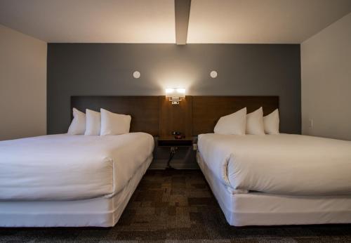 En eller flere senge i et værelse på Bedrock Motel