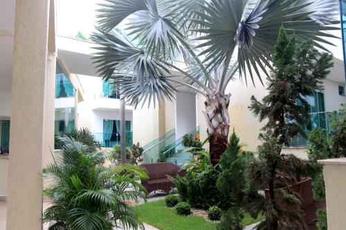 a garden with a palm tree in front of a building at Star Hotel in Jericoacoara