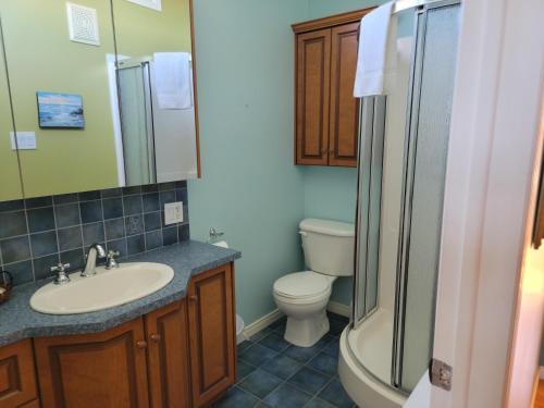 een badkamer met een wastafel, een toilet en een douche bij Motel de la mer in Rimouski