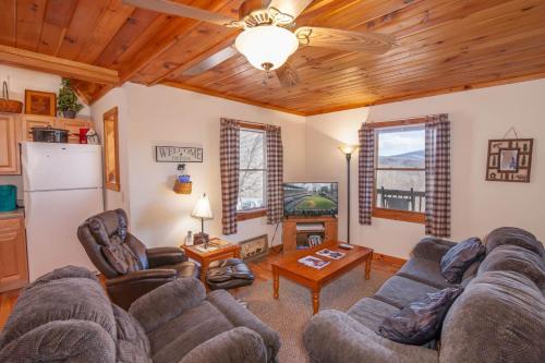 a living room with a couch and a tv at Appalachian View in Todd