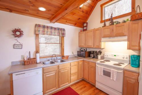 a kitchen with wooden cabinets and a white dishwasher at Appalachian View in Todd