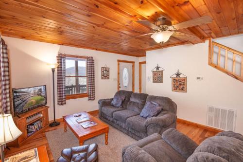 a living room with a couch and a tv at Appalachian View in Todd