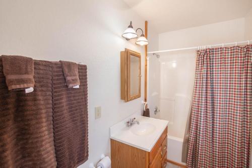 een badkamer met een wastafel en een spiegel bij Appalachian View in Todd