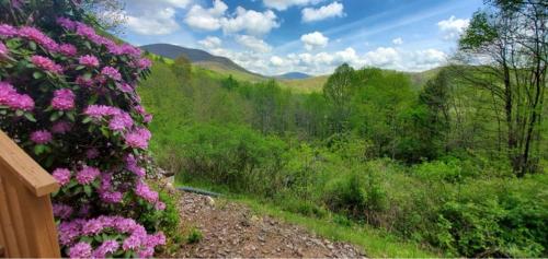 a view of a field with purple flowers on a hill at Appalachian View in Todd