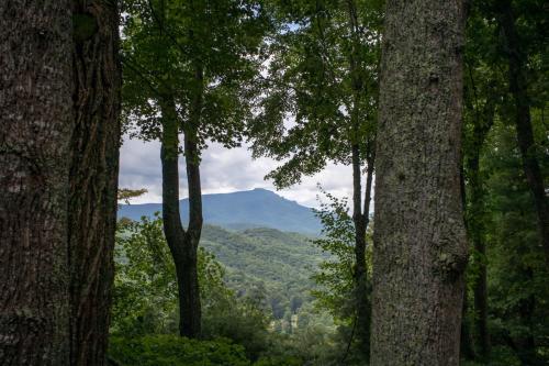 Azalea Hill – Photos 3
