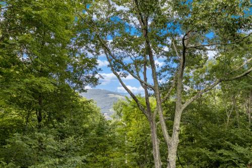 Bearfoot Cabin – Photos 2
