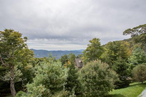 a house in the middle of the trees at Bear Necessities in Beech Mountain
