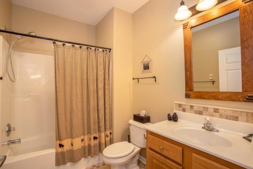 a bathroom with a toilet and a sink and a mirror at Bear Necessities in Beech Mountain