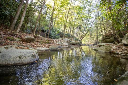 Beech Creek Cabin – Photos 3