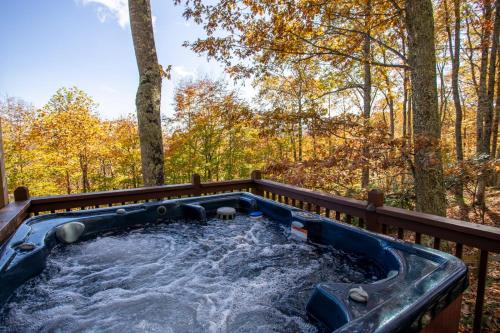 Beech Mountain High – រូបថត 3