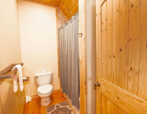 a bathroom with a toilet and a wooden door at Beech View Retreat in Zionville