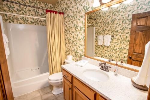 ein Badezimmer mit einem Waschbecken, einem WC und einem Spiegel in der Unterkunft Blowing Rock Retreat in Blowing Rock