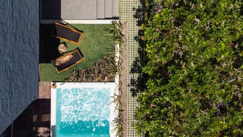 an overhead view of a swimming pool and plants at Barra Grande, Maraú, Casa 5 in Marau